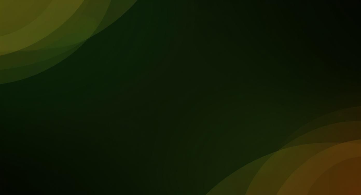 Springbok Bonuses and Promotions: A Practical Value Breakdown